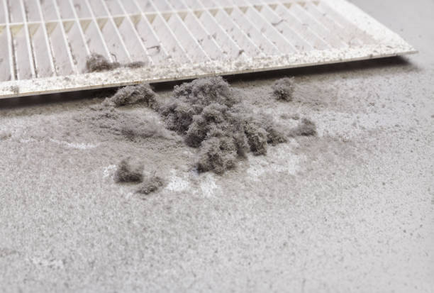 Best Ductwork Cleaning Services  in North Bennington, VT